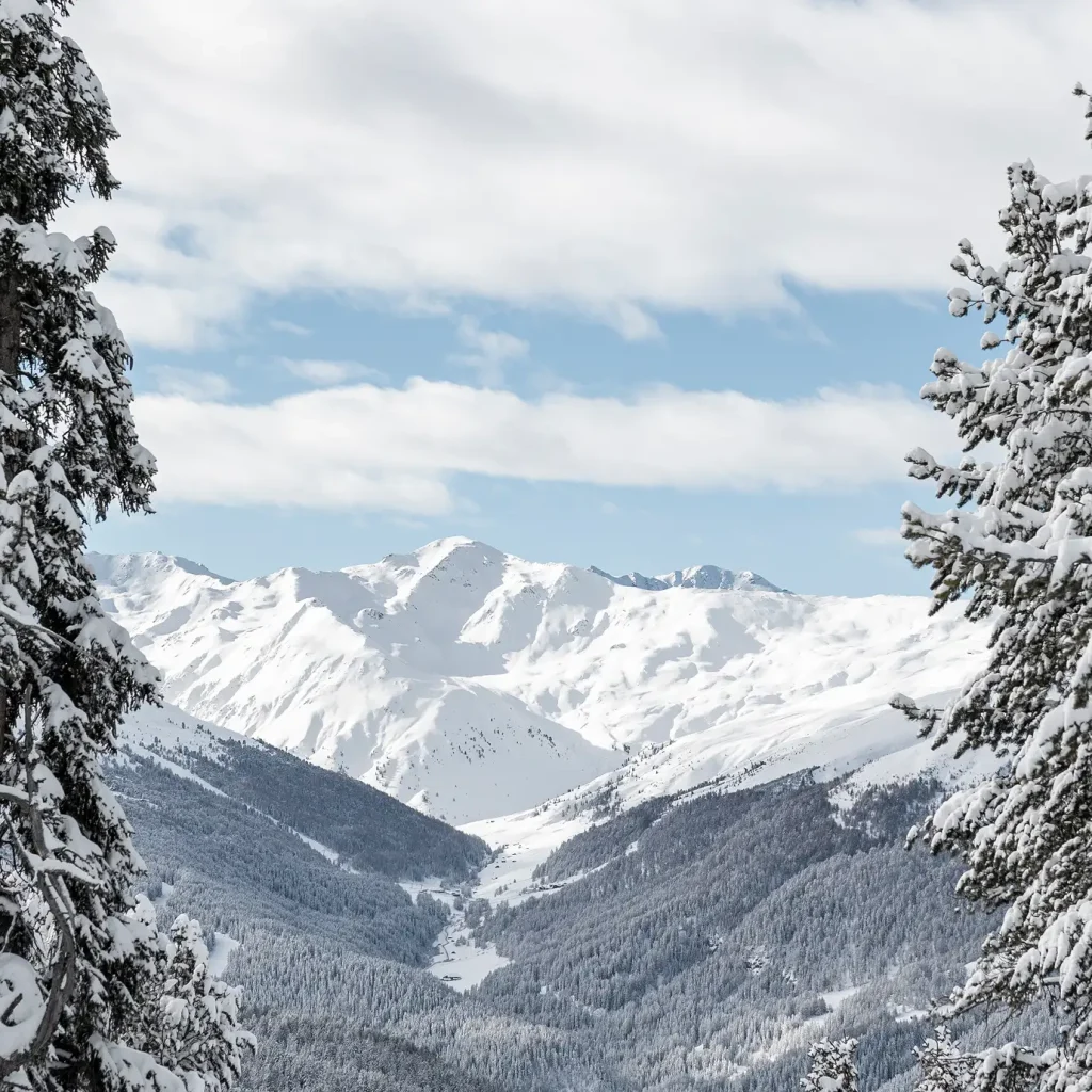 Schneebedeckte Berge und Kiefern unter einem bewölkten Himmel in einer Winterlandschaft.